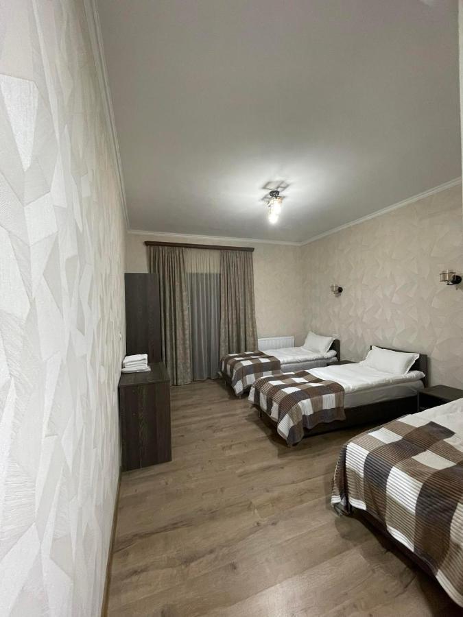 Hotel Shina 카즈베기 외부 사진